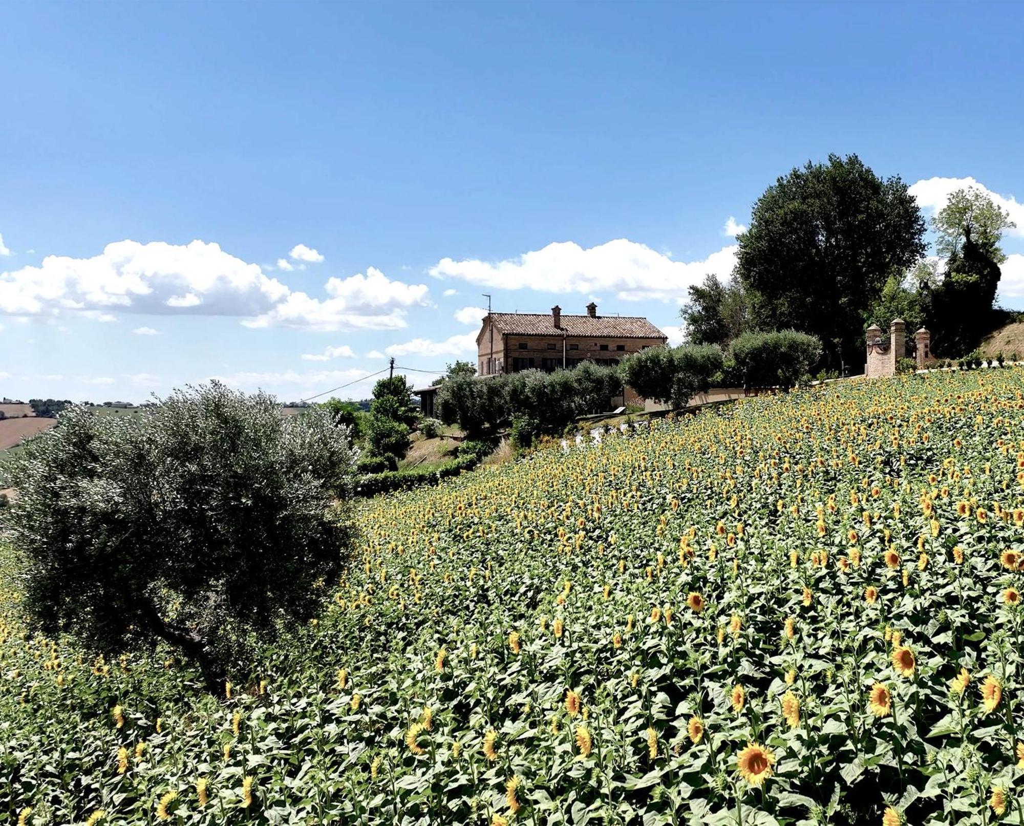Bed&Breakfast La Vecchia Scuola Montefano Exterior foto